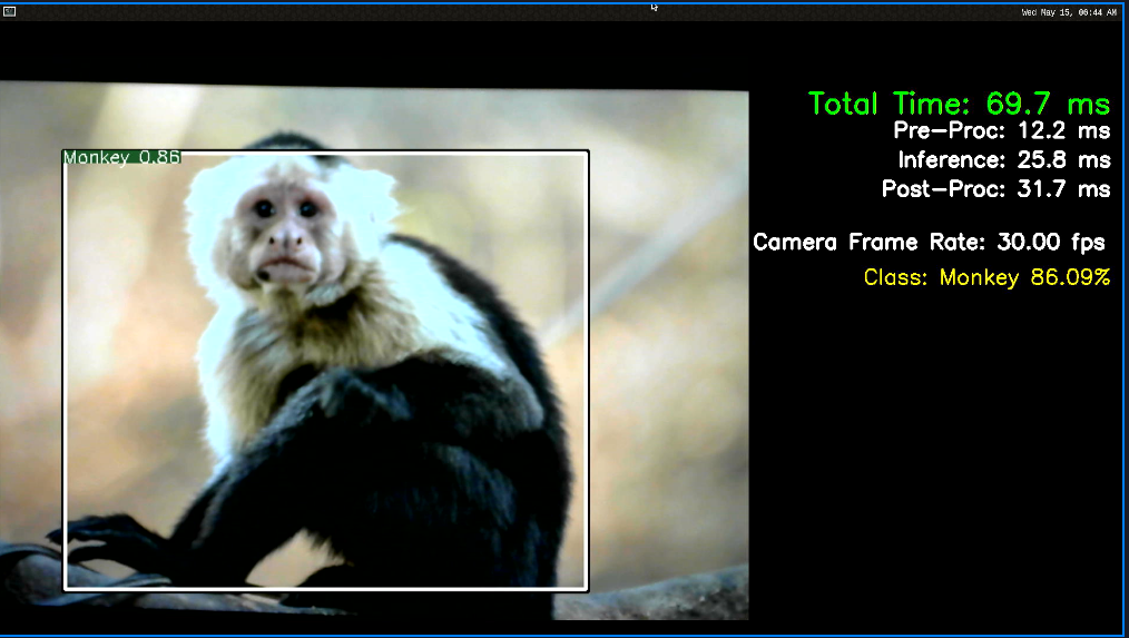 07_Animal_detection