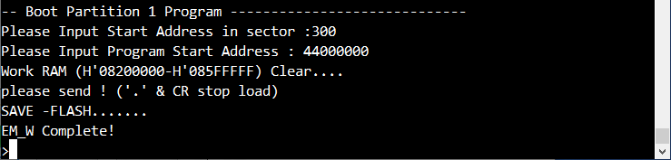 TeraTerm.FW.FIP.Done